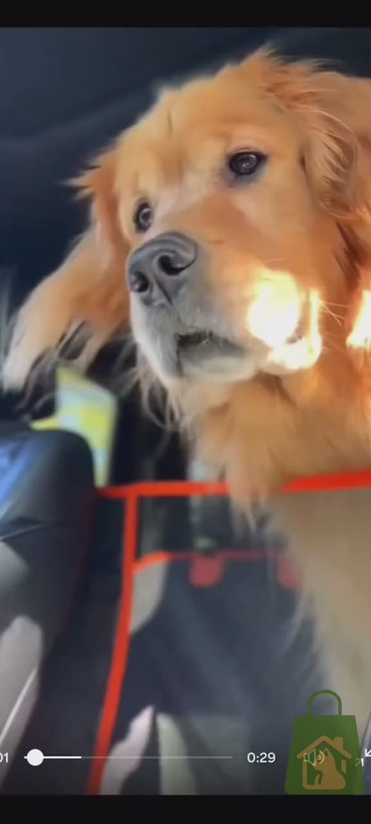 OpenRoadPaws™ Backseat Bridge