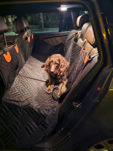 Dog resting on the back-seat extender in a vehicle